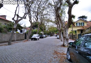imagem_20