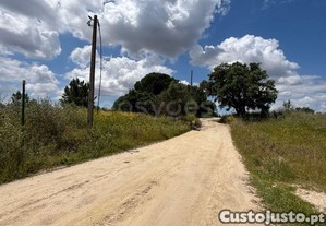 imagem_9