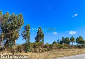 imagem_6