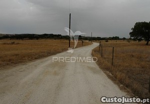 imagem_14