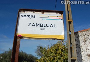 imagem_7