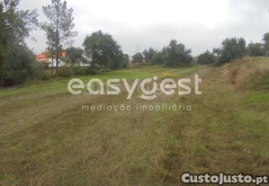 imagem_6