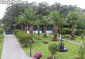 imagem_44