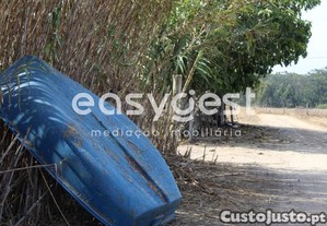 imagem_16