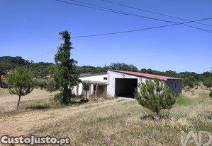 imagem_28