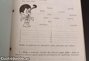 imagem_5