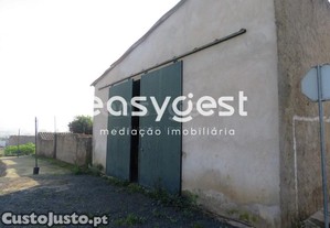 imagem_20