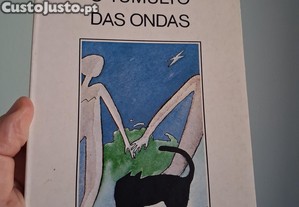 imagem_1