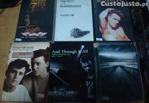 Lote 28 dvds musicais