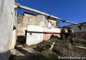 imagem_3