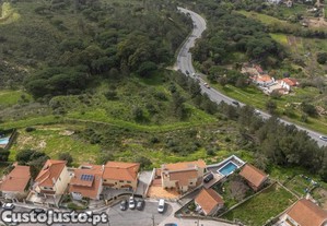 imagem_8