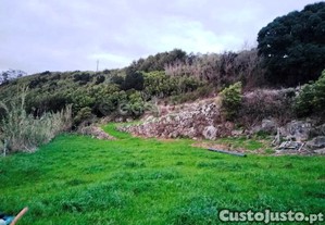 imagem_6