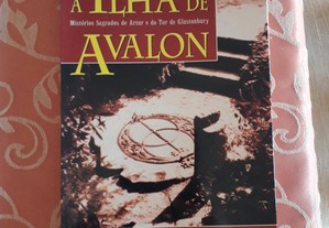 imagem_2