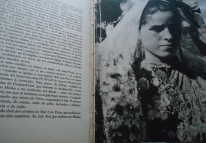 imagem_8