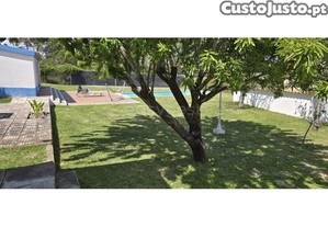 imagem_46