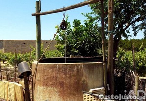 imagem_11