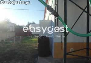 imagem_12