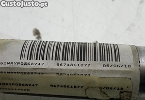 imagem_2