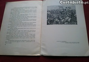 imagem_4