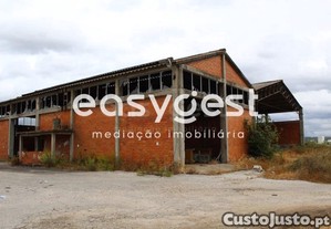 imagem_7