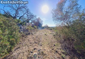 imagem_6