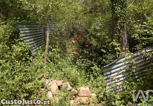 imagem_22