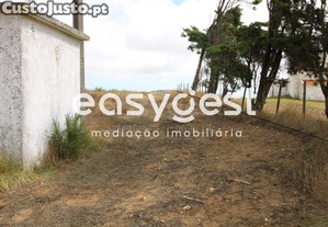 imagem_17