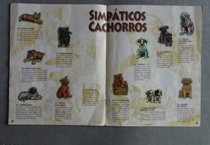 imagem_5