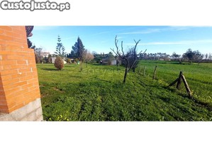 imagem_10