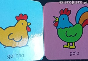 imagem_3