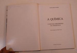 imagem_6