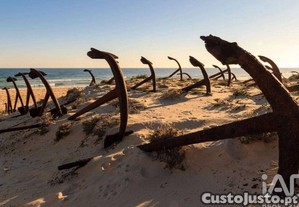 imagem_27