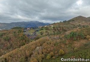 imagem_26