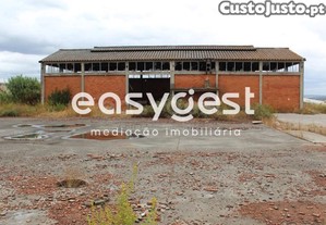 imagem_9