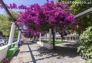 imagem_11