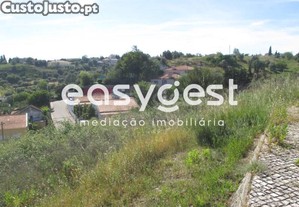 imagem_7