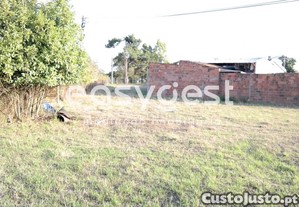 imagem_7
