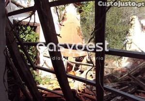 imagem_5