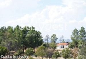 Quinta Com 4,3 Hectares Junto À Aldeia...