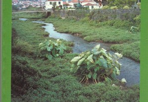 Roteiro Cultural - Concelho de Machico - Ilha da Madeira (2001)