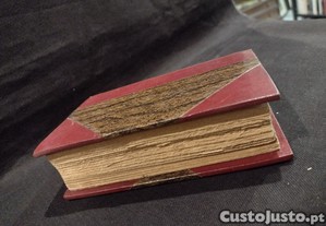 imagem_7