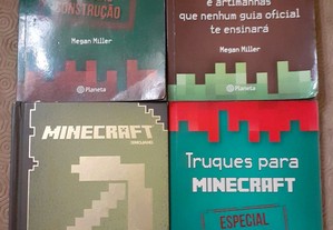 Minecraft Livros - Megan Miller