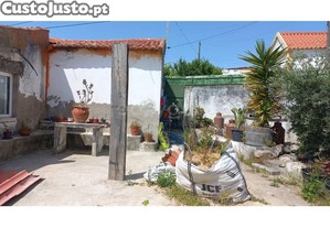 imagem_16