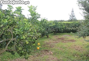 imagem_28