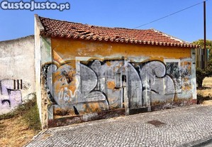 imagem_3