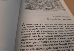 imagem_6