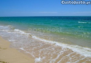 imagem_12