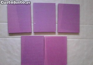 imagem_2