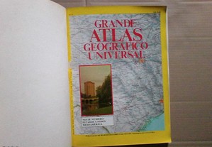 imagem_4