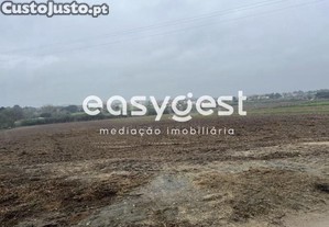 imagem_21